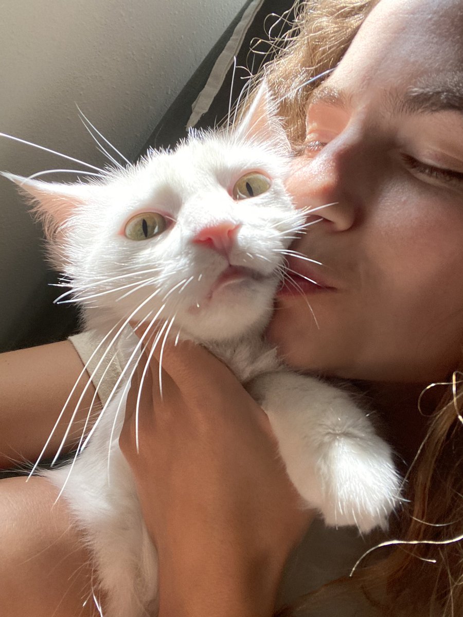 amboogerz's tweet photo. My cat was sneezing yesterday so I MOMMIED the heck out of her, stood over her when she was in her litter box and scooped before she could bury it just to make sure she was well then I told her it was a 👍 GREAT 👍 turd and gave her kisses and today she is better #imustconfess https://t.co/Qlxx8uivVk