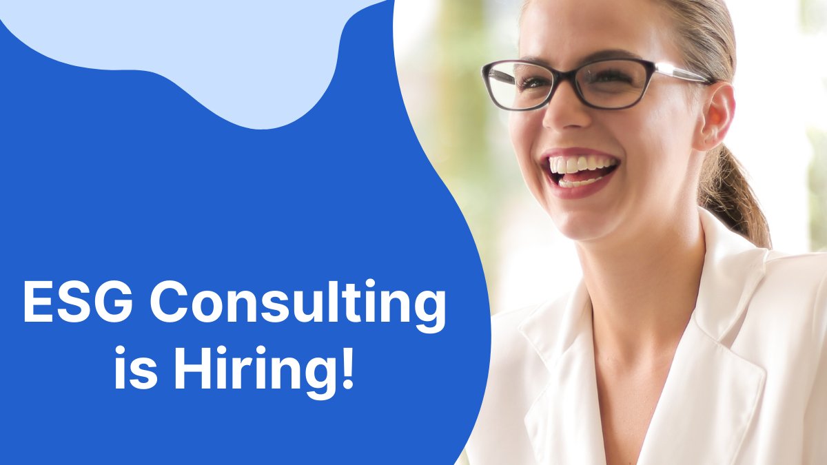 ESGConsultingIT's tweet photo. ESG Consulting is #hiring an Information Technology Recruiter for a #remote position.

#applynow #remoteopportunity #itrecruiter #informationtechnology #nowhiring #job #remotejobs

Search jobs on our website: https://t.co/nb0hYBQ44L

Apply on LinkedIn: https://t.co/lgKgPxSN3H https://t.co/ZOi82HGcX3