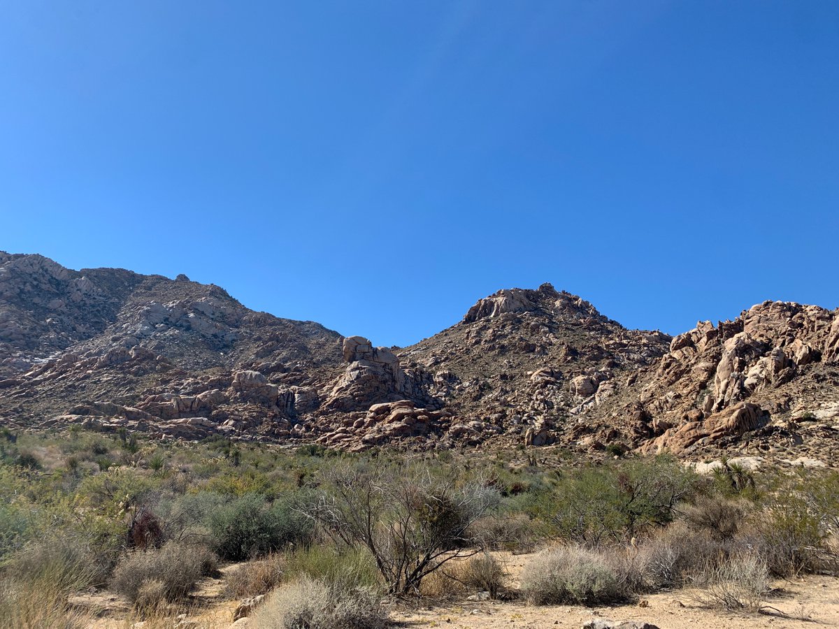 We are honored to be celebrating #NativeAmericanHeritageMonth with our friends from <a href="/NALCorg/">NALCorg</a> on Nov 13! At 2pm: a guided tour of the Oasis of Mara in 29 Palms where you’ll learn about #nativeplants and tribal connections to the landscape: cutt.ly/bR4rE1I
📷: <a href="/NALCorg/">NALCorg</a>
