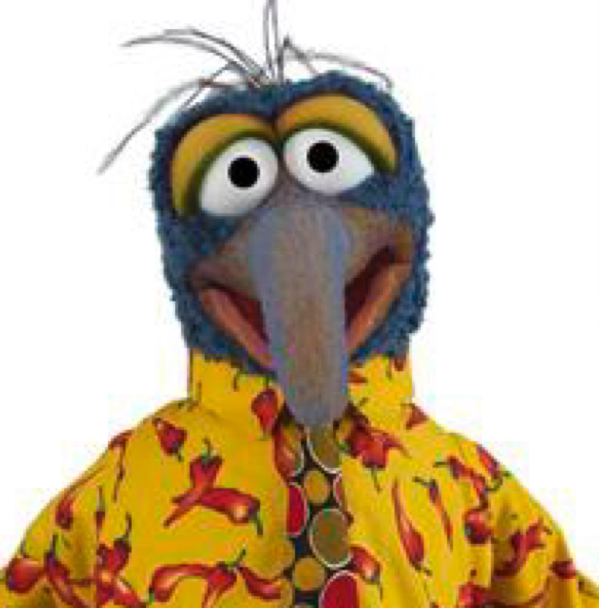 Karsten Bott tweet media