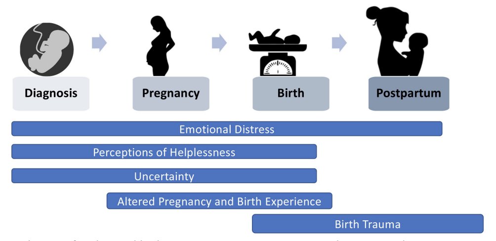 |Brett😷Einerson| MD MPH tweet media