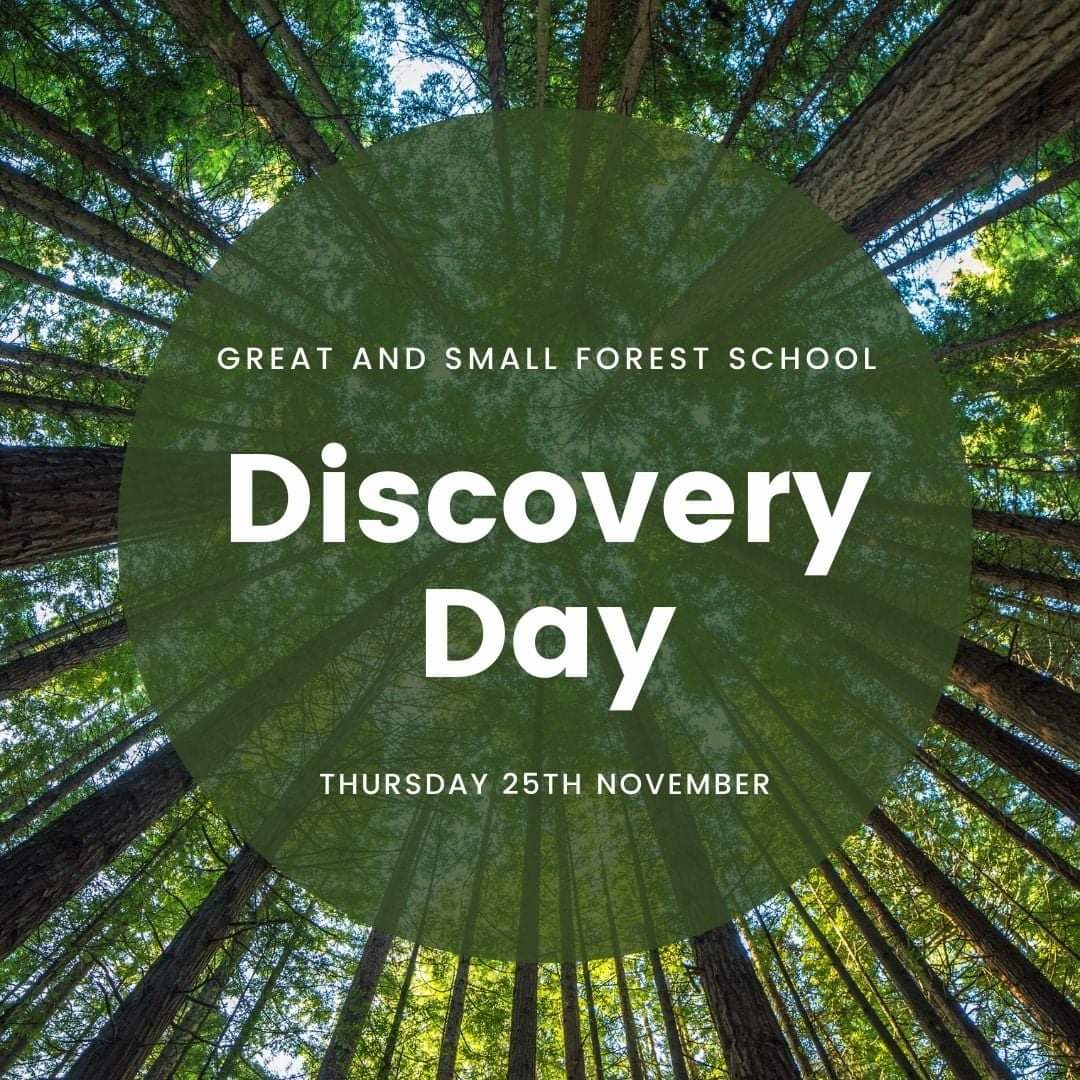 Great and Small Forest Education tweet media