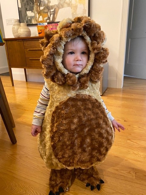 TheAxialCompany's tweet photo. Lions, Unicorns, and Superheroes roamed the streets last weekend as the kids of Axial trick or treated from door to door. These costumes were too cute to spook!👻 #halloween2021 #axialkids #theboocrew https://t.co/R6fDOvSxaN