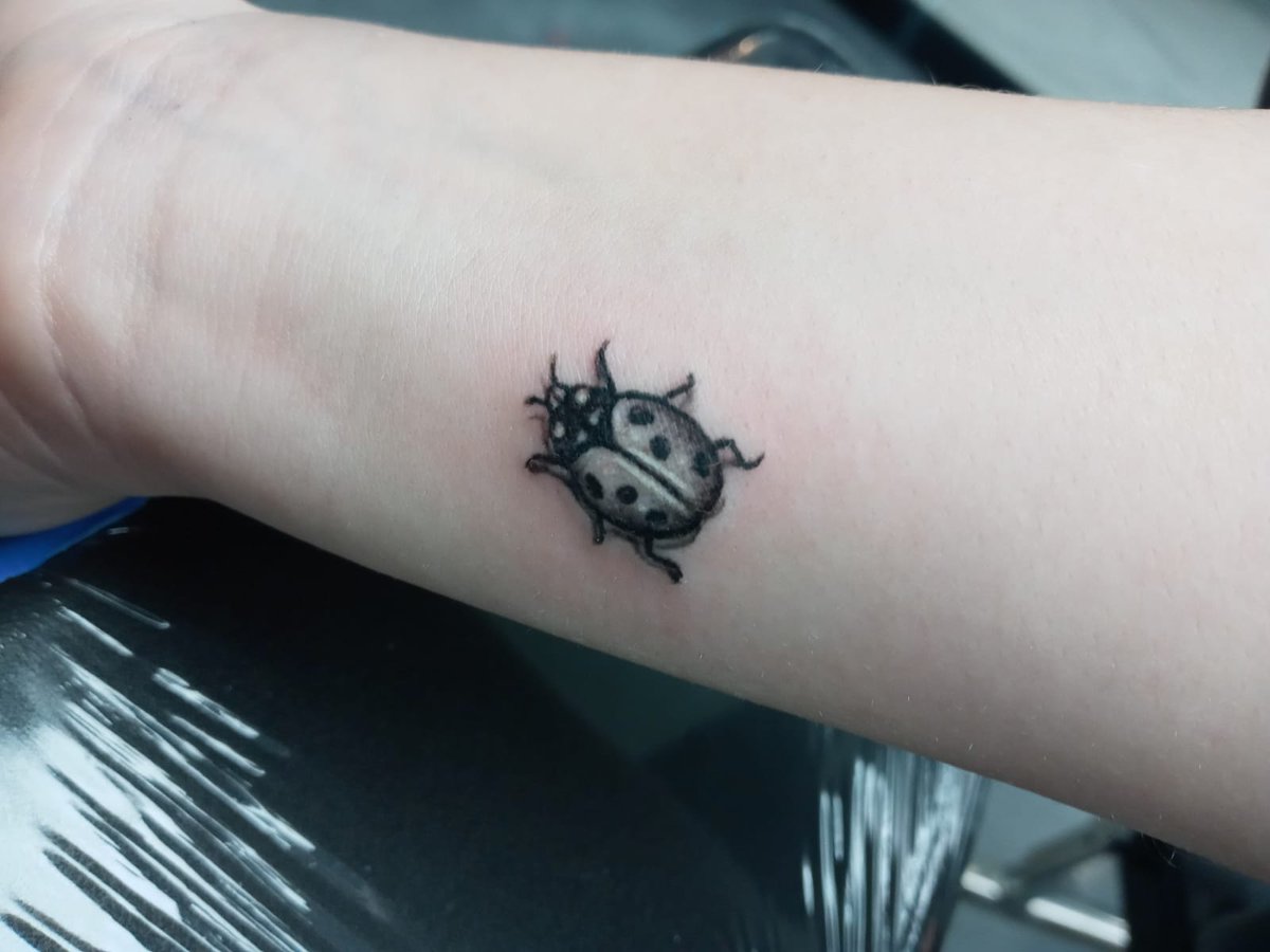 LVTattoo's tweet photo. Take a look at this little cutie done by our artist Chris T.
Stop by today and inquire about your next tattoo.
#Tattoo #Tattoos #LadyBugTattoo #TinyTattoo #LasVegas #LVTattoo #PrestigeTattoo https://t.co/jdbvX2rBDB