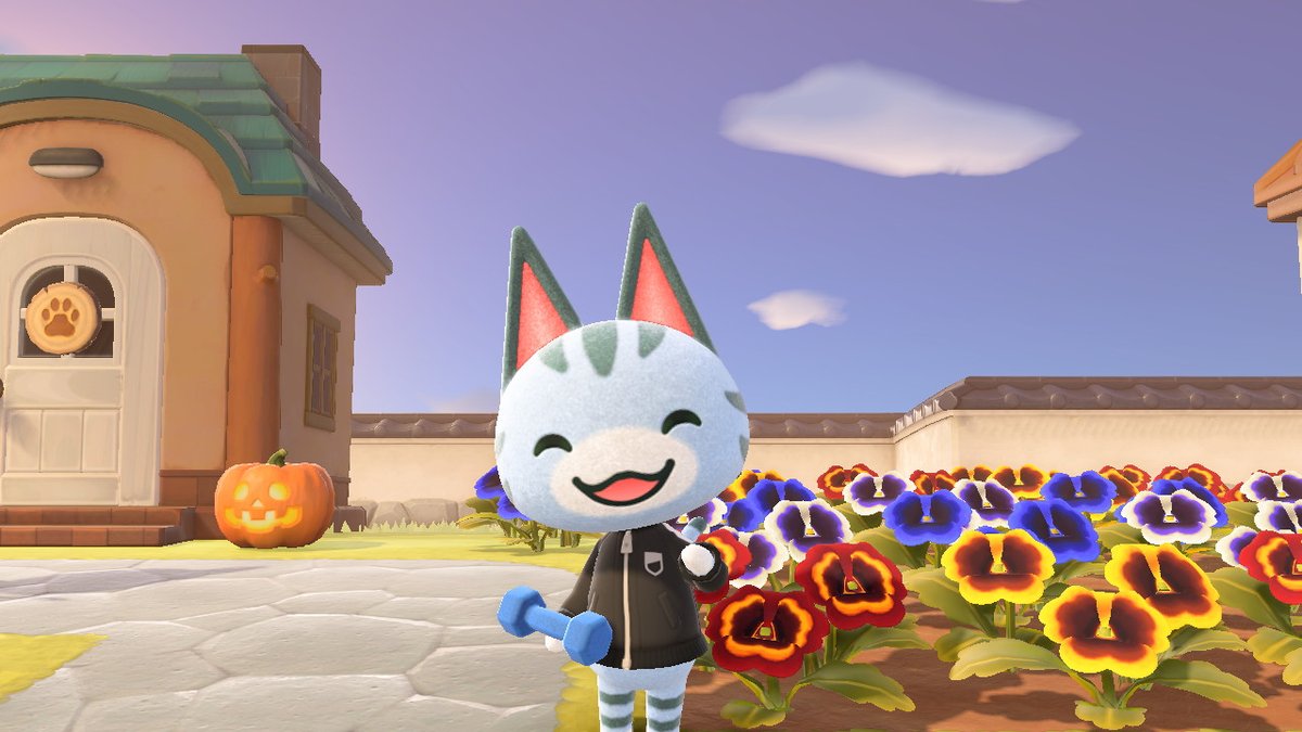 TheNebulaElk's tweet photo. I am in love with this new camera mode! So cute! #AnimalCrossing #ACNH #NintendoSwitch https://t.co/VYYO8vRPOQ