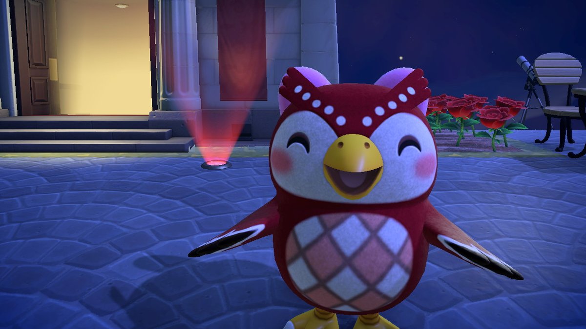 TheNebulaElk's tweet photo. I am in love with this new camera mode! So cute! #AnimalCrossing #ACNH #NintendoSwitch https://t.co/VYYO8vRPOQ