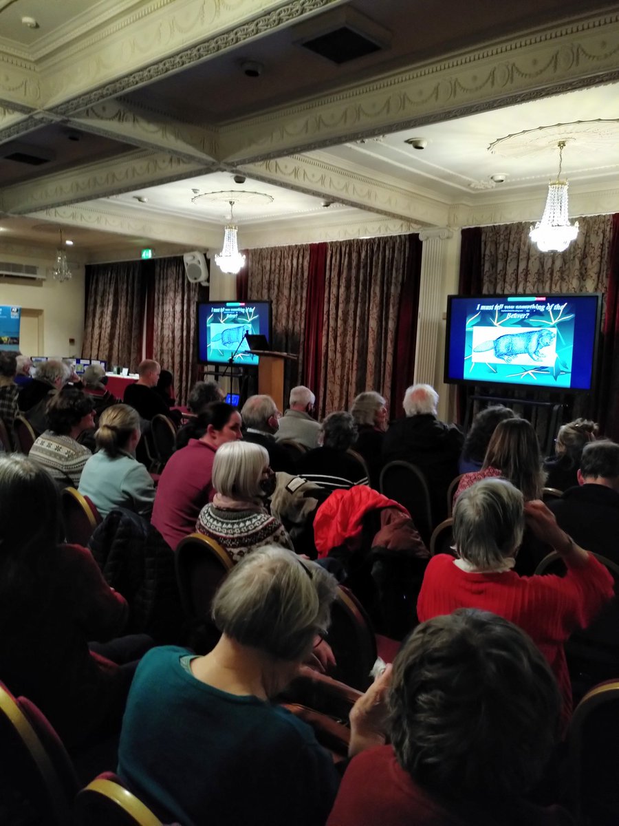 rwtwales's tweet photo. It looks like another full house for our Barnes Memorial!
@gow_derek 🦫 https://t.co/qjK2j7p4eu