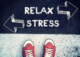 TWCChiro's tweet photo. November Newsletter - https://t.co/U7FnL8k6yK
How to cope with stress and winter blues. Special Veganuary consultation offer. Christmas Hampers Raffle. https://t.co/prvbwc2hud