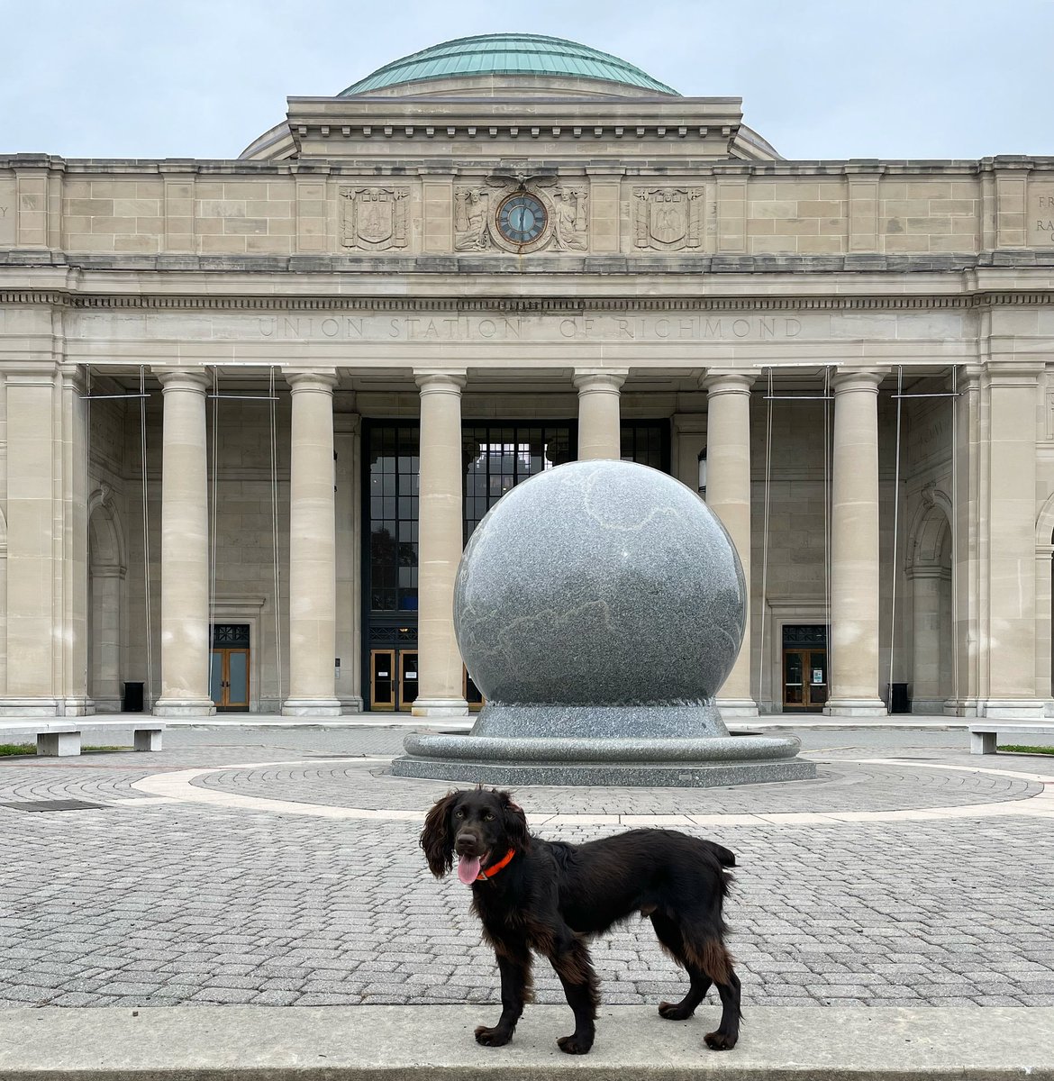 ScienceMusofVA's tweet photo. Atlas loves the Science Museum! Ok, well, he really loves playing fetch on our front lawn but we know he would have a ball with all the STEM fun inside the building, too! 

#rva #RVAdogs #MiddayPlay #FetchSomeScience #RuffLife #DogsOfRVA #GreenspaceRVA  #GoFetch https://t.co/tkgEuq71Bm