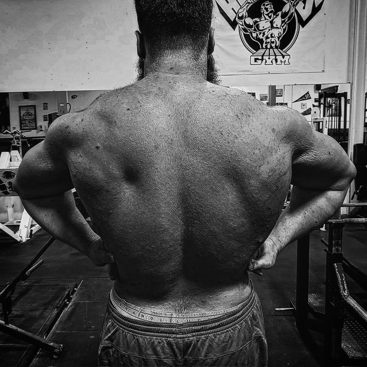 Damien Hoyt tweet media