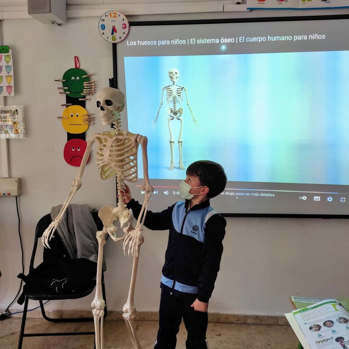 Los alumnos de 1ºP,en CNA han contado con la inestimable colaboración de 'Simba'.
Gracias a él,aprendemos a localizar los huesos del cuerpo humano a tamaño real¡esto sí que es realidad aumentada!

#SAFA_Villacarrillo #Atrévete #aprendizajesignificativo #science #huesossaludables