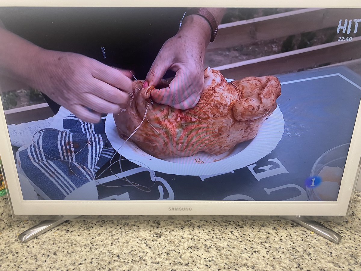 revelsol's tweet image. #aquílatierra @Aunitz #botelo #botillo 👍💫👌💙🍁🍂