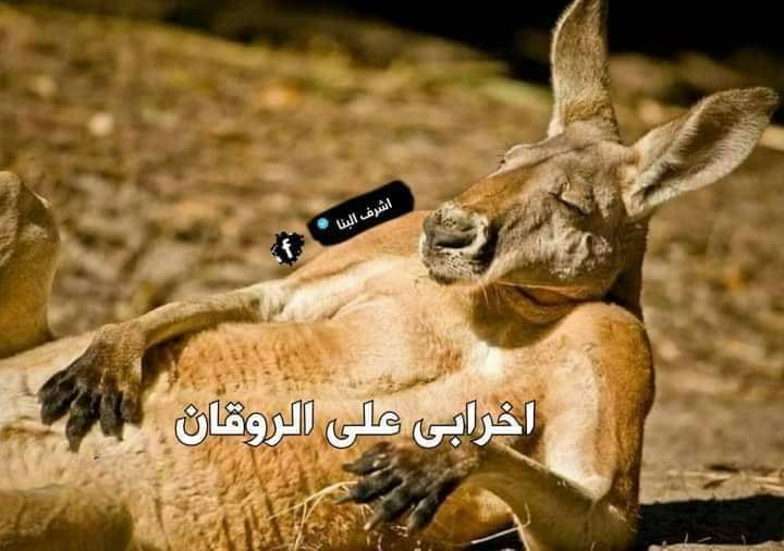 الناس بتكره الوحدة ومتحبش تقعد لوحدها 
انا لما اقعد لوحدي :