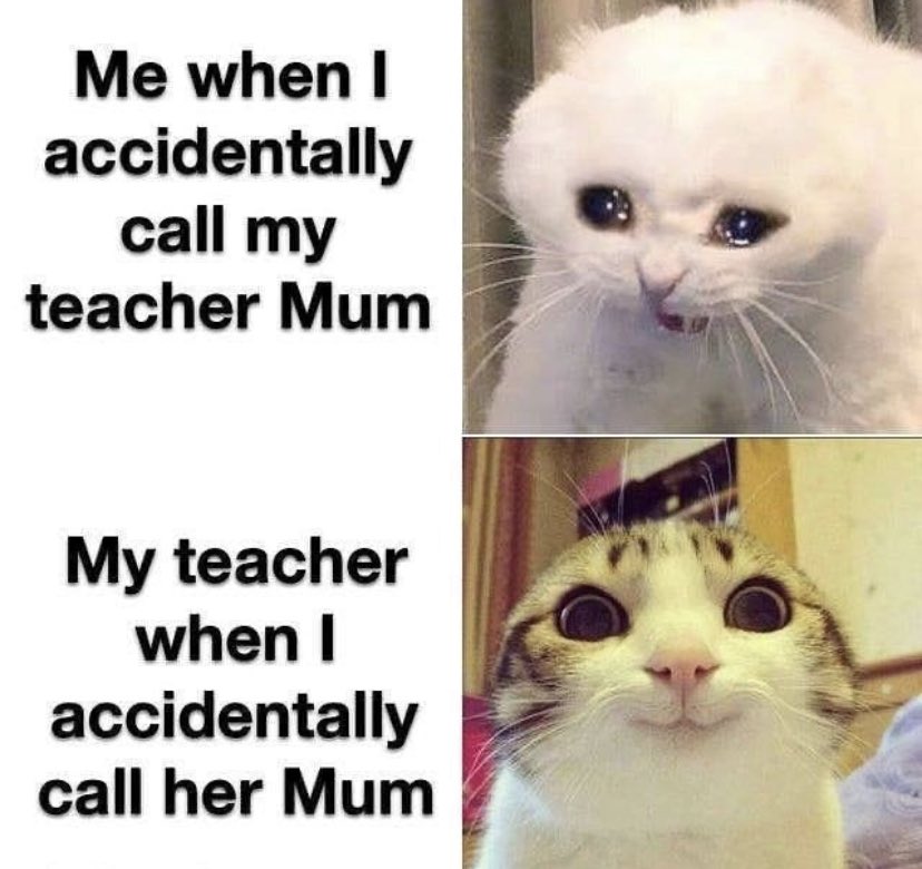 WholesomeMemes (@wholesomememe) on Twitter photo 