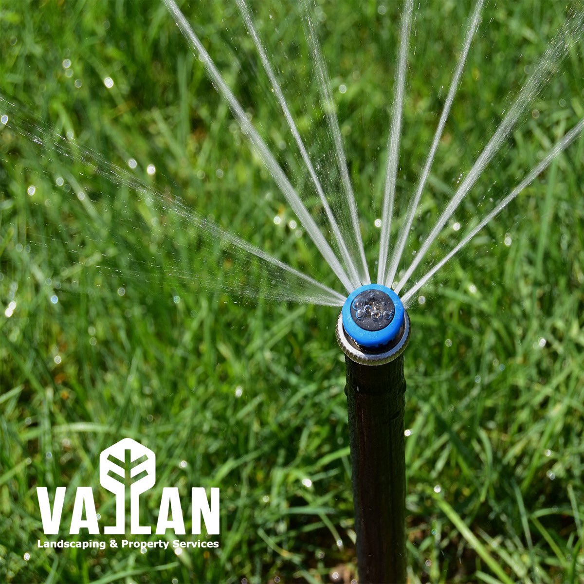 Vallan Landscaping tweet media
