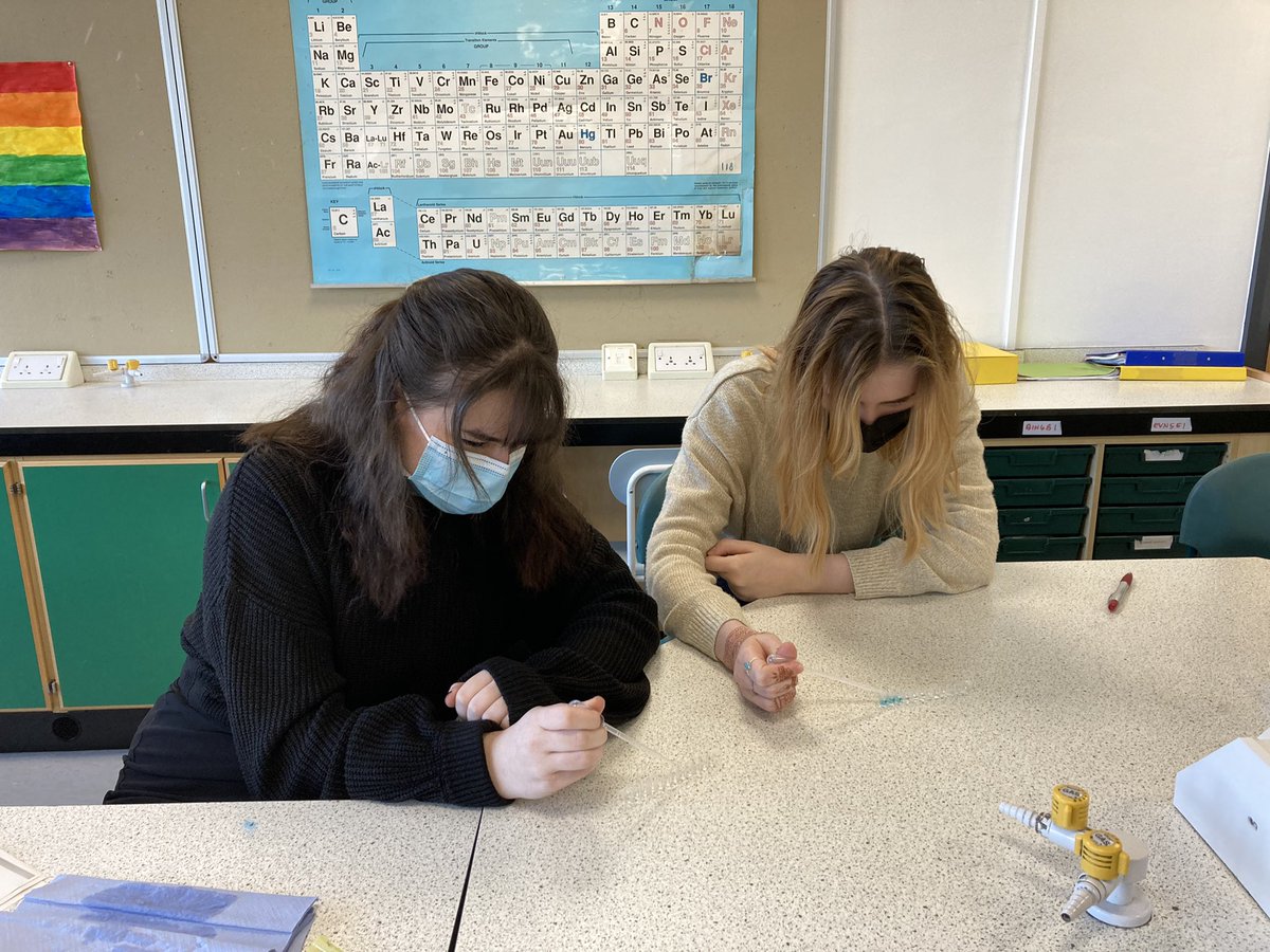 LochaberHSBio's tweet photo. Today the Advanced Higher Biology were using the ELISA technique to monitor the spread of a virus (synthetic!!) in a population 👩‍🔬 🦠 https://t.co/SXOstW37a4