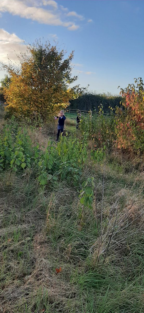 DunstonPrimary's tweet photo. Wrap around care exploring the new forest School area
Can you spot them? @DysonFarming @SpiresFed #SpirersOutdoorLearning https://t.co/bdZOh1Ts45