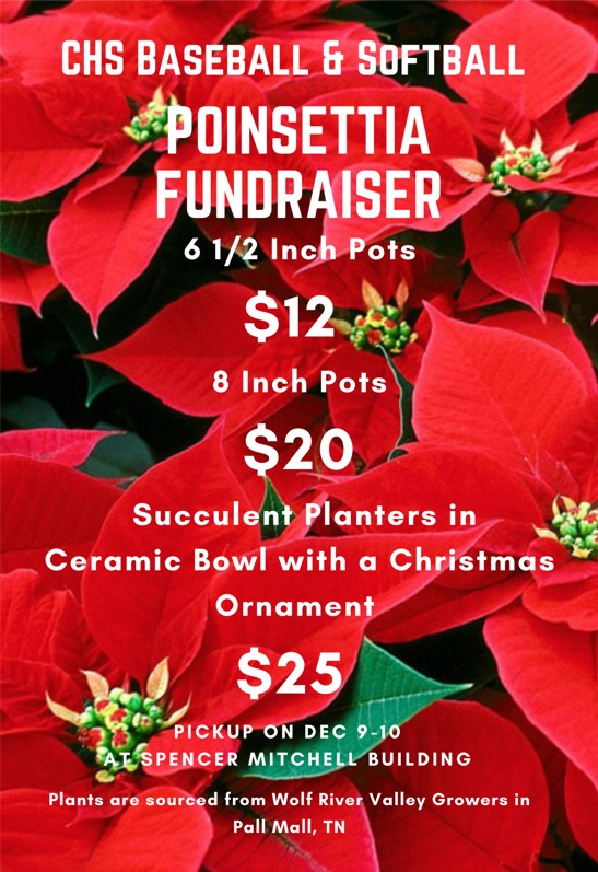 The Spring Sports Athletes start their poinsettia sale today!  Find a ball player or email Ben.Putman@mcstn.net to order!  These were absolutely GORGEOUS last year!