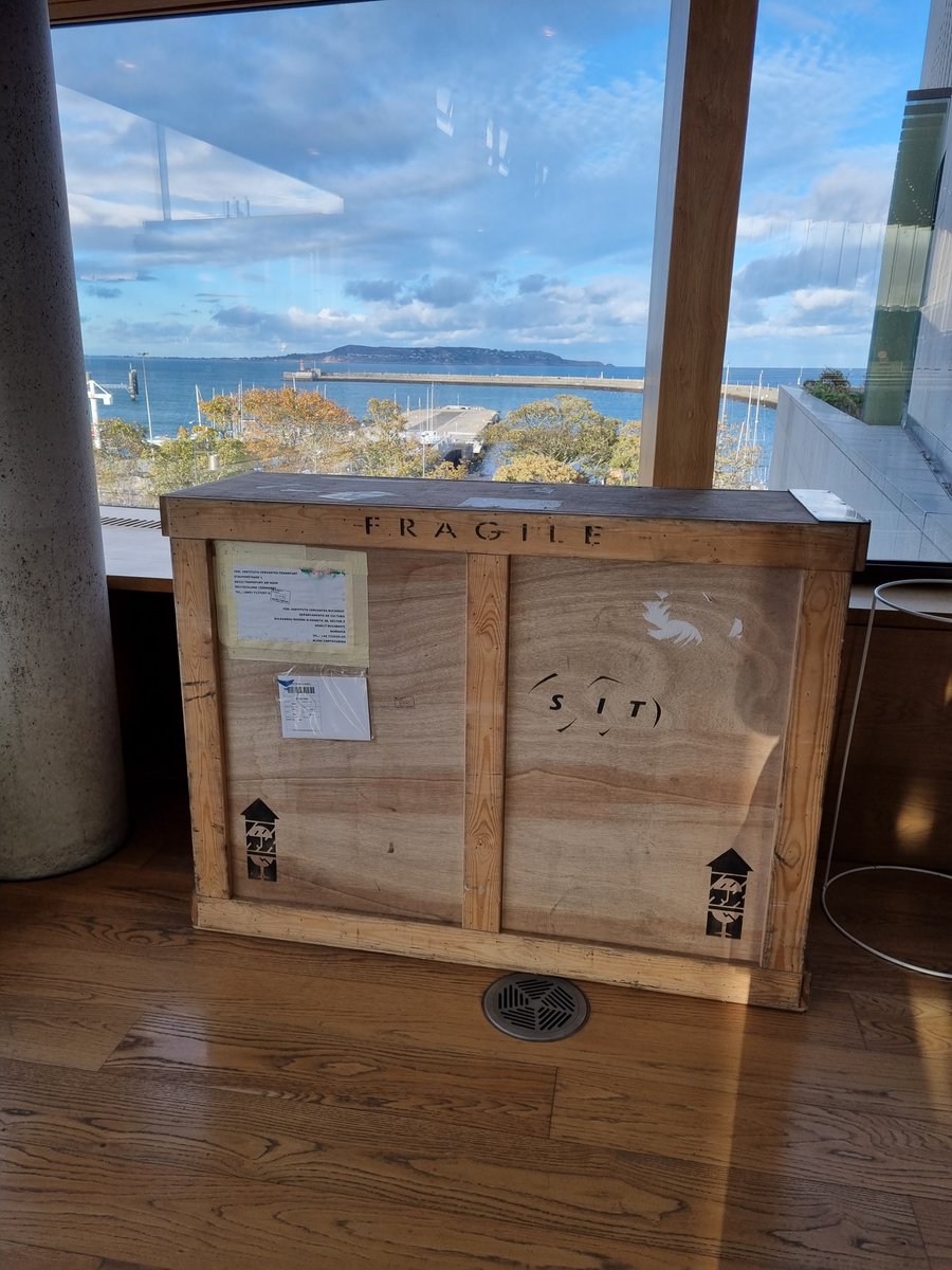 DLR_Libraries's tweet photo. Intriguing! What could be inside this crate in #dlrlexIconlibrary? 

Could it be the comic panels for our upcoming @InstCervantes exhibition? Why not join us at the launch on Tues 9th Nov to celebrate 20 years of Injuve Comic Awards. Book free tix here https://t.co/igkbhBwfKu https://t.co/oWvk3CdcfW