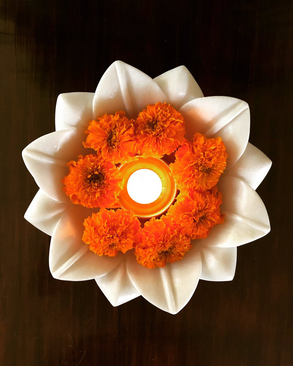 Illuminate. Light over darkness. Good over evil. Wishing you love, light, health and prosperity. Happy Diwali to all those celebrating the Festival of Lights today! 🪔✨