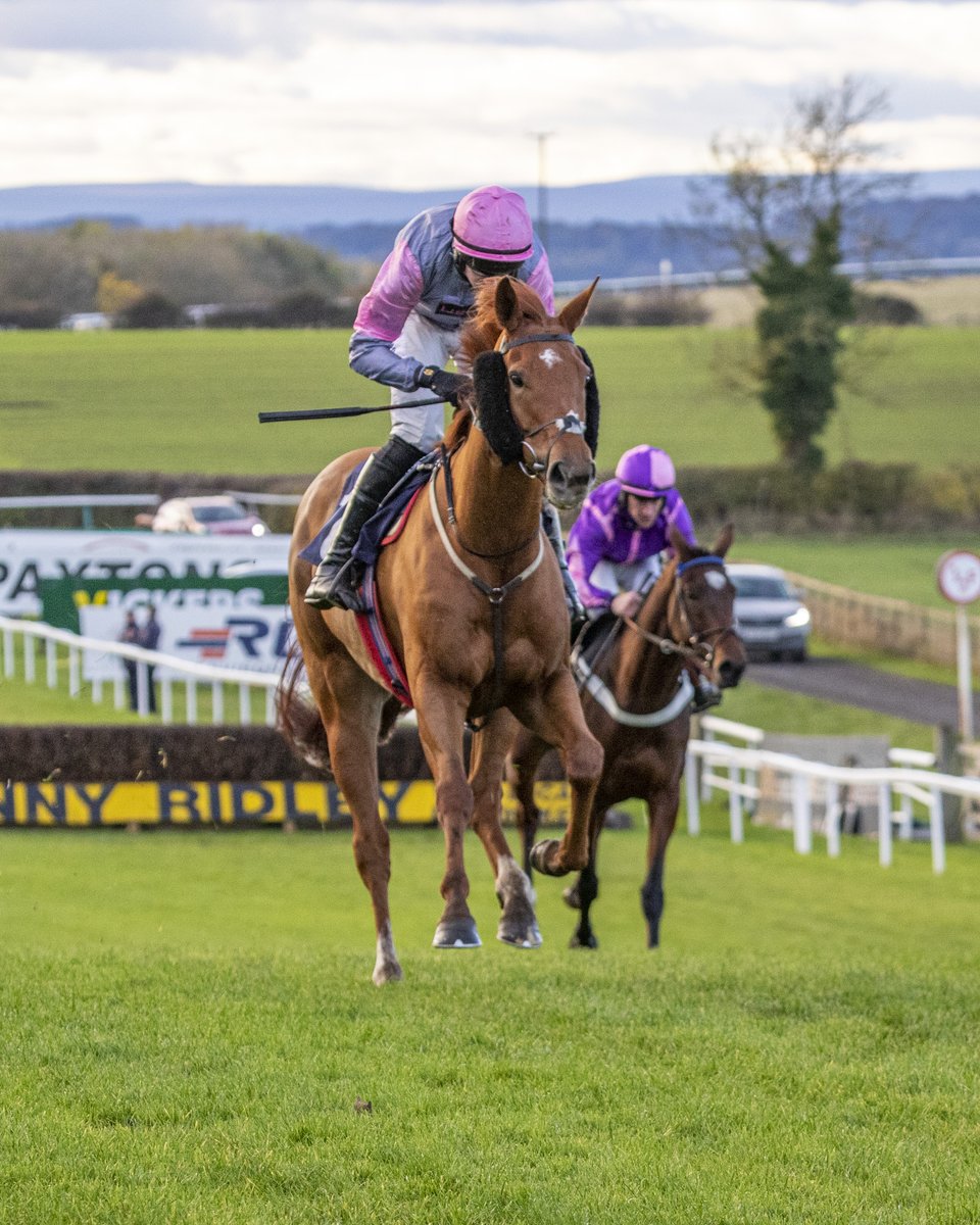 SedgefieldRace's tweet photo. RACE 5 RESULT – Carpet Gallop Pre-Mixed Surfaces 01785719991 Mares' Handicap Hurdle (Go North Lady Buttons Qual')

🥇 Pure Surf
🥈 Latino Fling
🥉 Misscarlett

Jockey: @CoFarrell20

Trainer: @jardineracing

Owners: I J Jardine https://t.co/1GbO1bzuxS