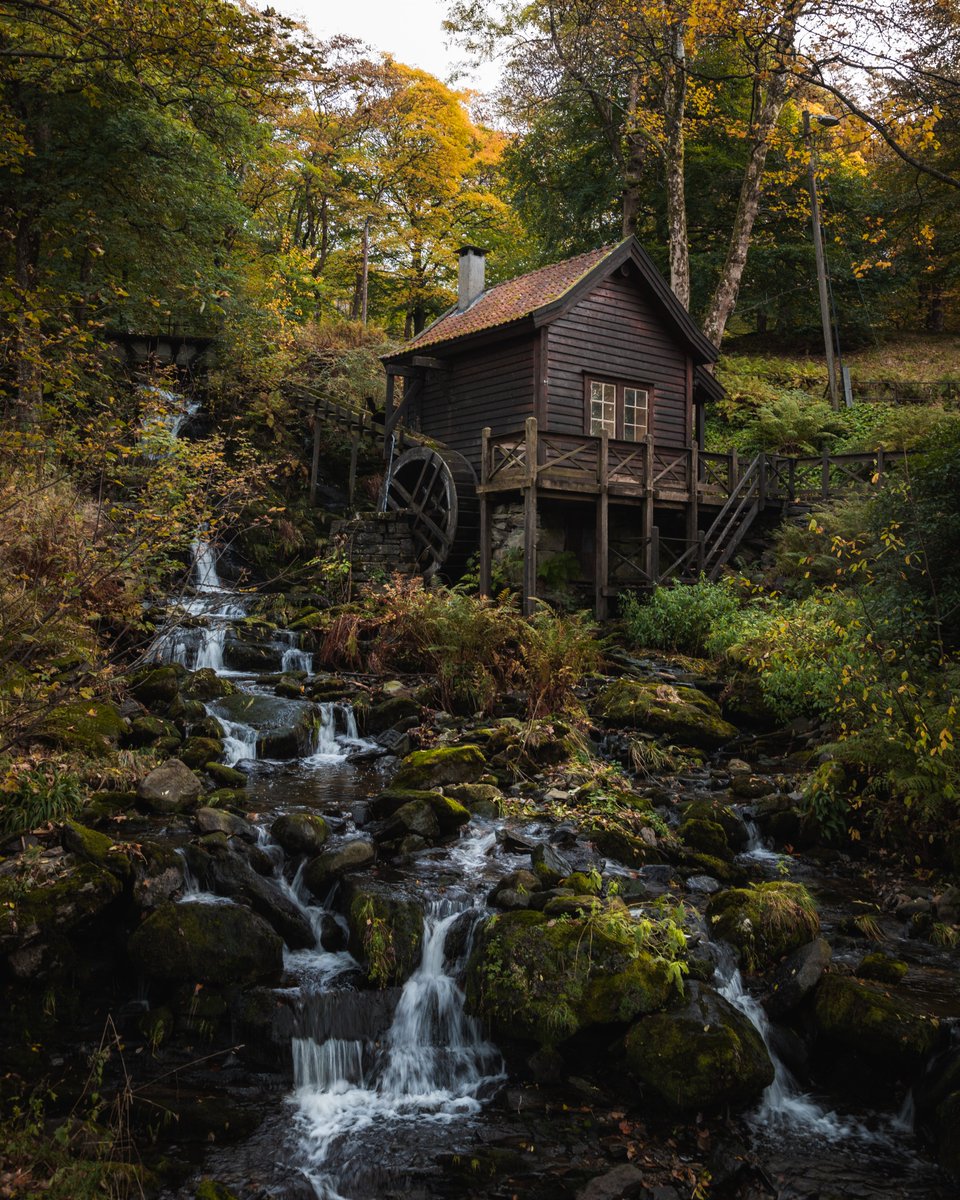 siljevdm's tweet photo. Hey photographers, I think it's time for another Photo of the Month thread, so show me your favorite photo from October (you can only choose one 😉📸)

Here's mine 🤎 https://t.co/VEBMIU2C1K