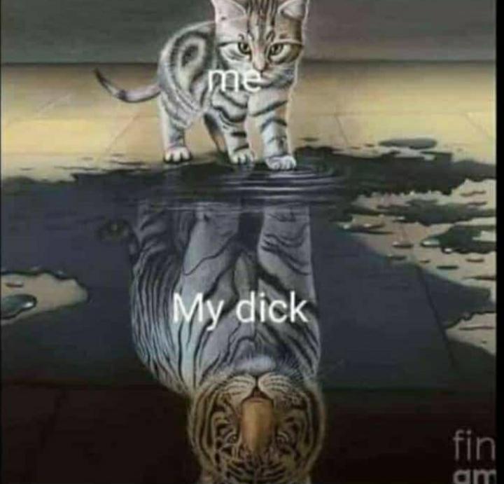 gostaria d fazer um tweet c diversos xingamentos direcionados a carnica da hybe mas o tt ia me tomba