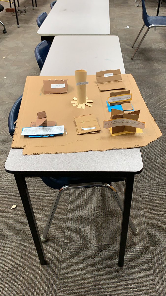NMCoachRoy's tweet photo. Cardboard joining techniques from 5th grade #hbmsstem #STEM https://t.co/76LP6gYcB5