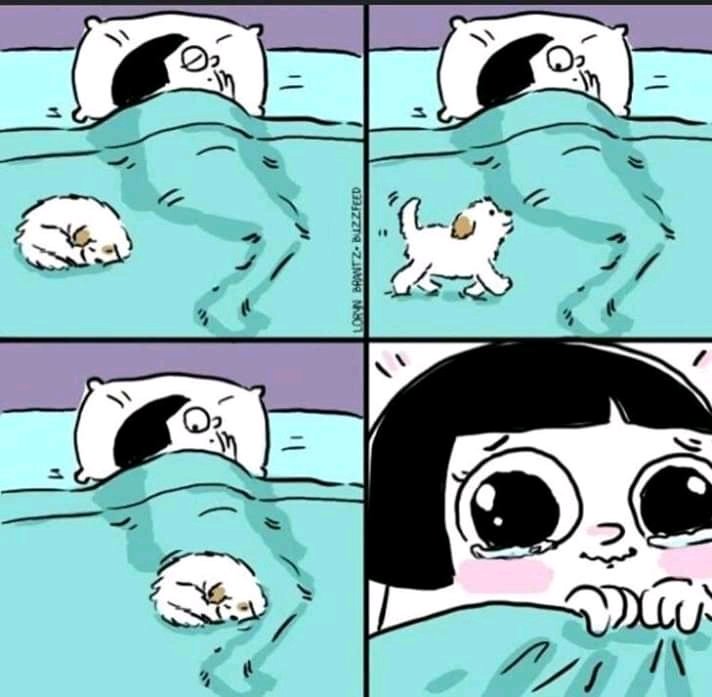 soy feliz con esto