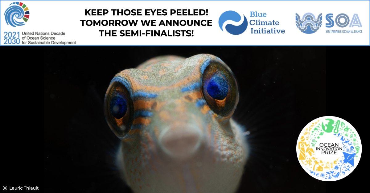 BlueClimate's tweet photo. ๐ข๐ก๐ ๐๐๐ฌ ๐ง๐ข ๐๐ข!
The semi - finalists to Blue Climate Initiativeโs #OceanInnovationPrize will be announced ๐ง๐ข๐ ๐ข๐ฅ๐ฅ๐ข๐ช! ๐ ๐
๐https://t.co/oVzaCSQinX
@SOAlliance @UNOceanDecade
#blueclimate #oceandecade #SDGs #OceanAction #SaveOurOcean #SDG14 #climateaction https://t.co/Kxrz9kS9GI