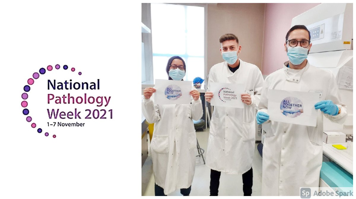ADSMicro's tweet photo. Here at @GreatOrmondSt  we're celebrating #PathologyWeek. 

Meet Saima, Connor and Lucien who work in Histopathology. 
‘We visualise cells microscopically to aid in the diagnosis of pathological conditions’ 

#AllTogetherNow @girlymicro @miceheath https://t.co/pVzrIv4ceD