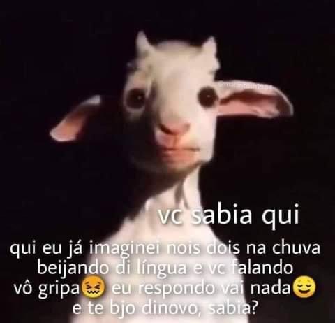 gela perna tweet media