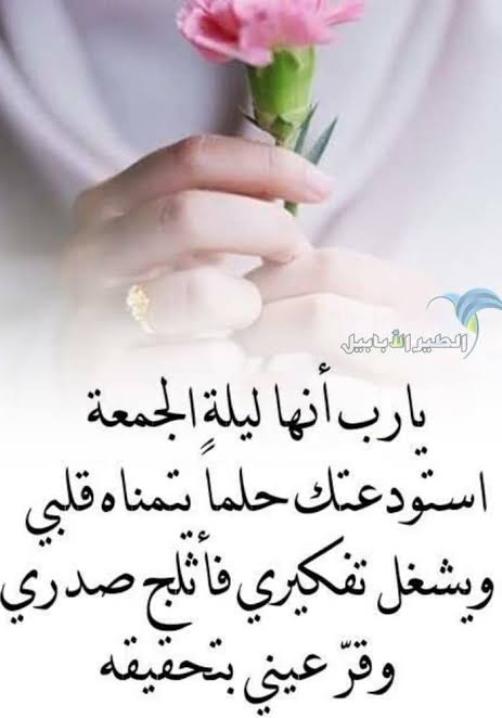د/ زهرة الكامليا (@mhmwddhky1) on Twitter photo 