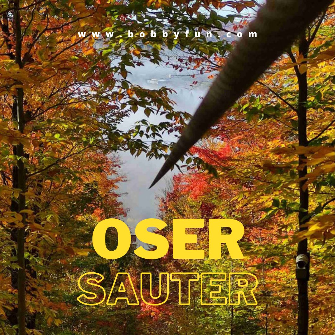 bobbyFUN8's tweet photo. Domptez les beautés colorées de l'automne EN HAUTEUR et ne manquez pas nos rabais pour la tyrolienne ! 

#zipline #tyrolienne https://t.co/bF9nTcW4eJ