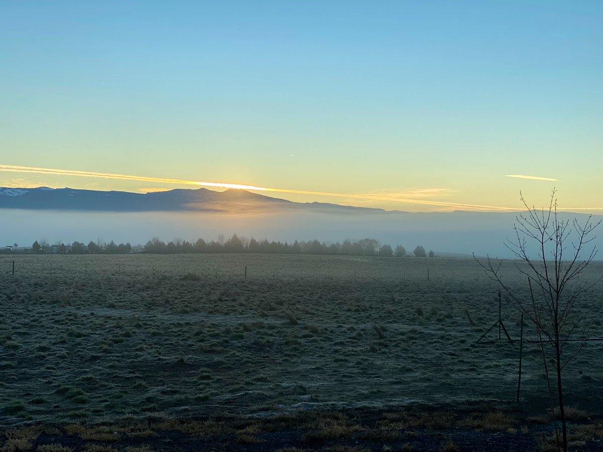 Feeling like Mr. Darcy should be strolling out of that fog any time now. 

#PrideandPrejudice #WritingCommunity #JaneAusten