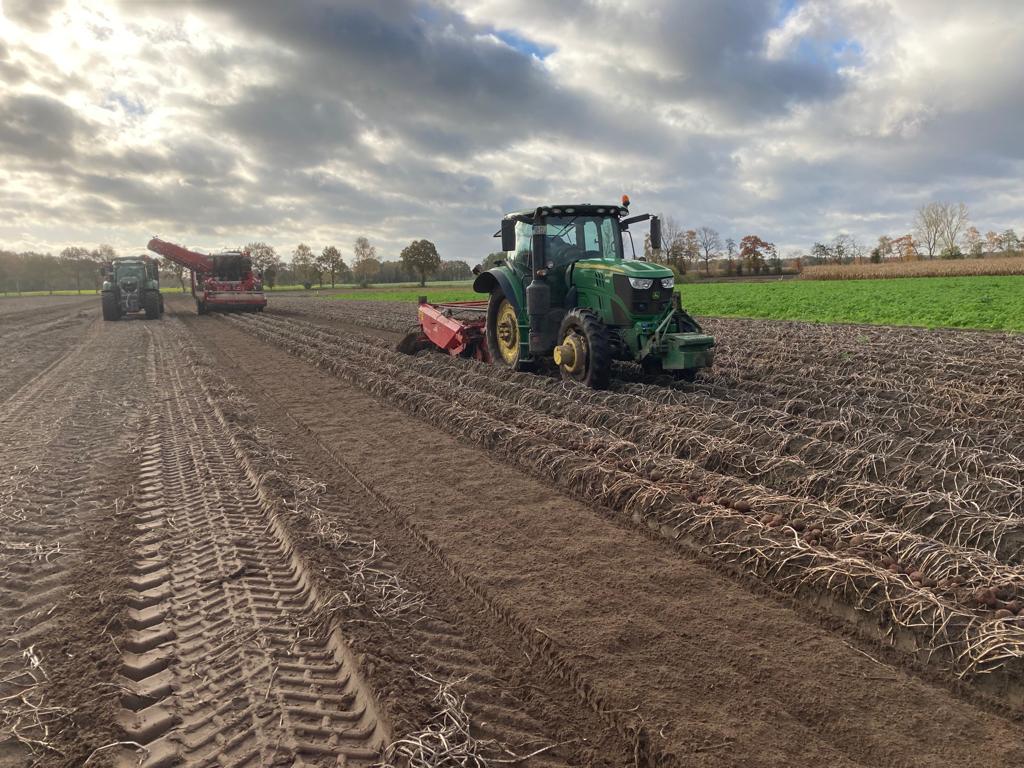 GRIMMEGroup's tweet photo. #RowShow2021
Another successful week of our #RowShow is over. Most of the potatoes have already been harvested and the sugar beet harvest is currently in full swing.
#GRIMME #GRIMMEGroup #REXOR #EVO https://t.co/jTki5Tck4C
