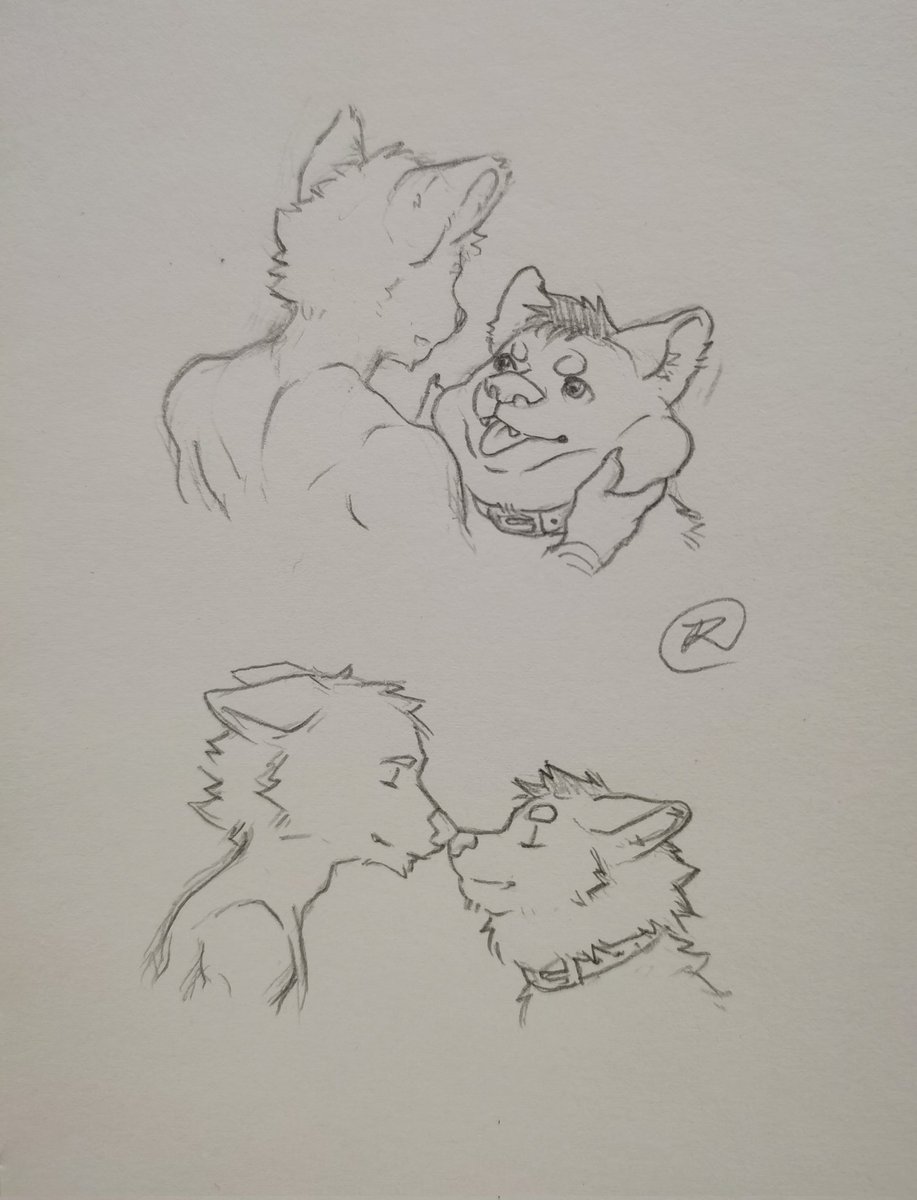 RIC_BEEF_POT's tweet photo. ๆฏ็พๅฅฝ็ๆขฆ๏ผๅๅ๐ญ
#furry #furryart #furrydrawing #furrylover #furryartwork #quickartwork #quicksketch #sketch #sketchbook #drawing #painting #kiss #dream https://t.co/yTNjvKClbJ