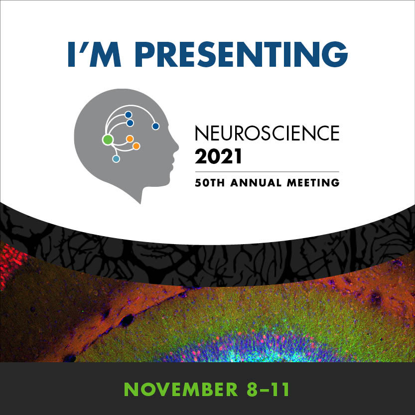 LabZempel's tweet photo. We have two posters at #SfN21: 
P222.04 - Domain requirements and mechanisms of axonal Tau sorting
P223.03 - Investigating isoforms-specific functions of Tau under healthy and pathological conditions using Tau-deficient hiPSC-derived cortical neurons https://t.co/KnBH4KNMV3
