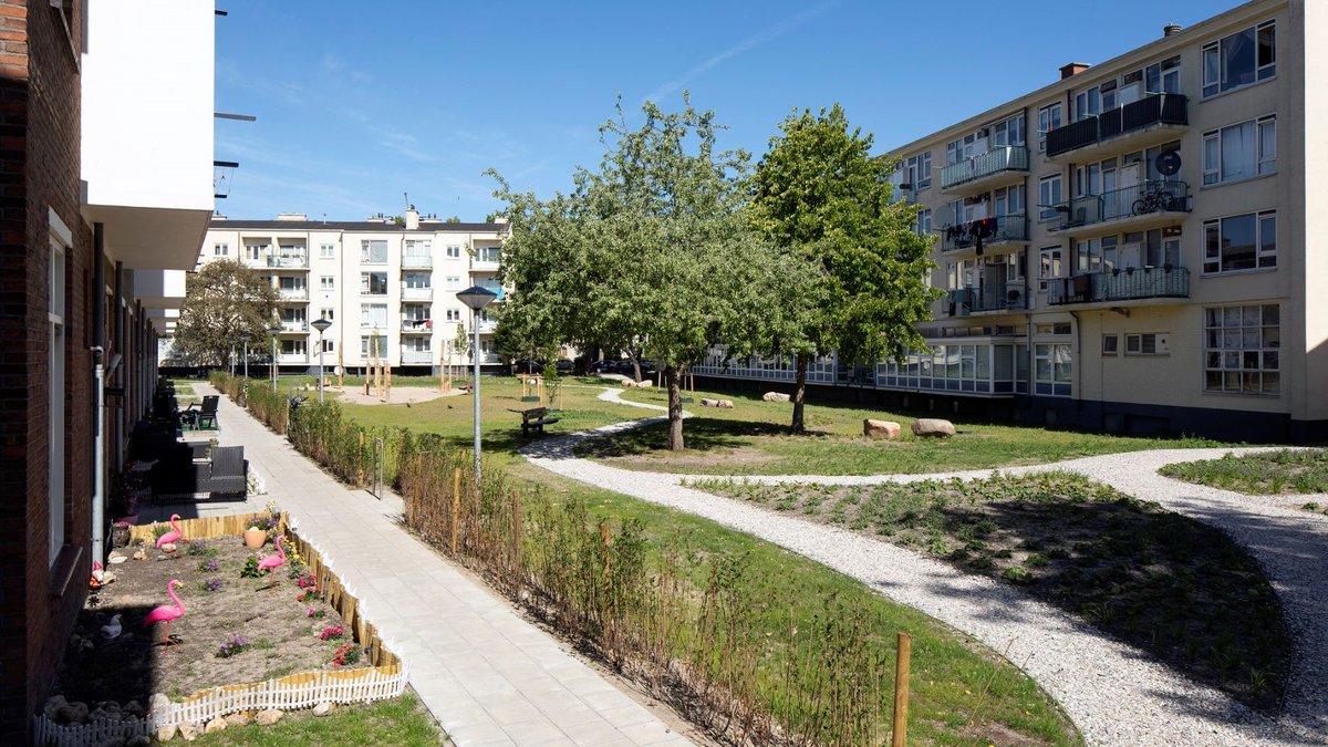 STADgesprek over vergroenen en verdichten in Zuidwest Den Haag. Wat betekent “meer groene kwaliteit” voor bewoners, gebruikers en professionals? 11 november Bekijk programma en meld je aan: platformstad.nl/agenda/meer-gr…