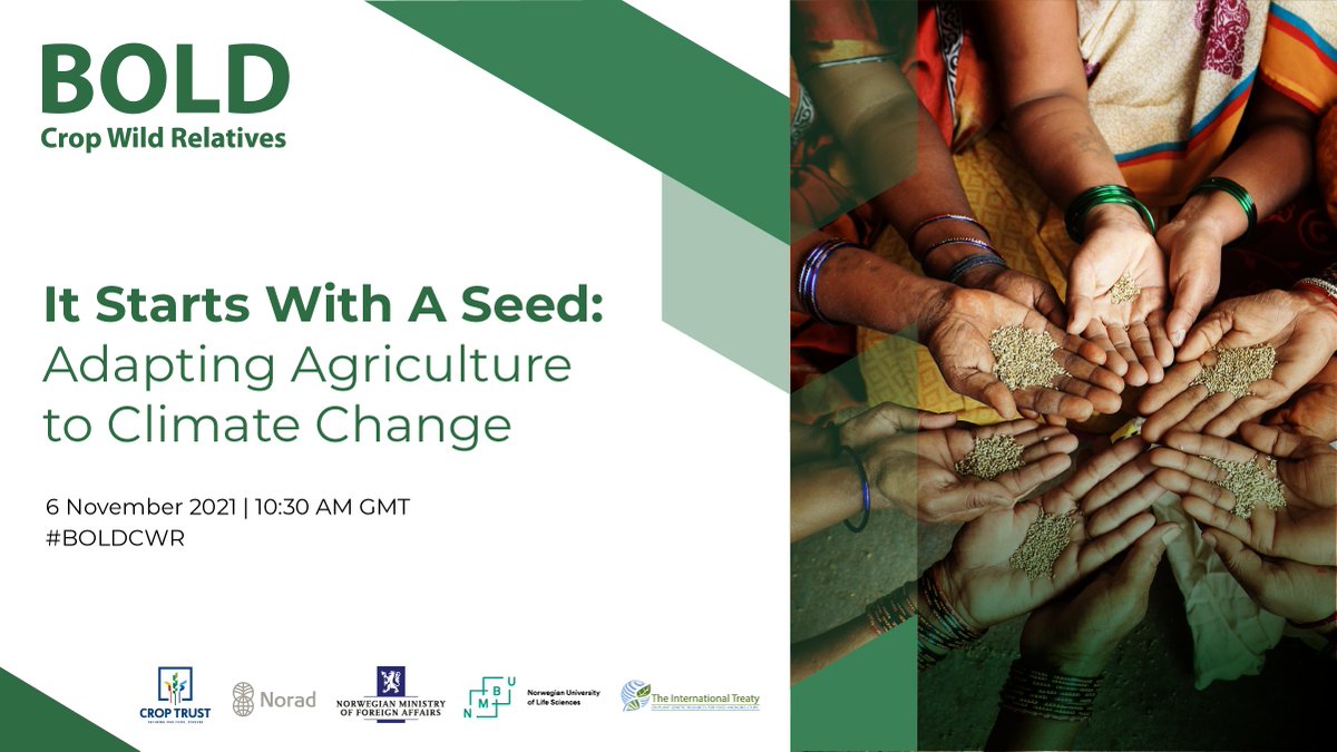 DvgGilst's tweet photo. The Crop Trust and Government of Norway have launched “Biodiversity for Opportunities, Livelihoods and Development,” or BOLD to conserve and use seeds to produce climate-resistant varieties.
Learn more in this exciting launchpad event!  #GLFClimate, #BOLDcwr and #COP26. https://t.co/B30XYzg4vl
