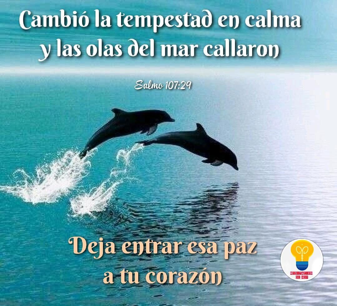 Siddonid Bardellini (@siddonid_bardel) on Twitter photo 