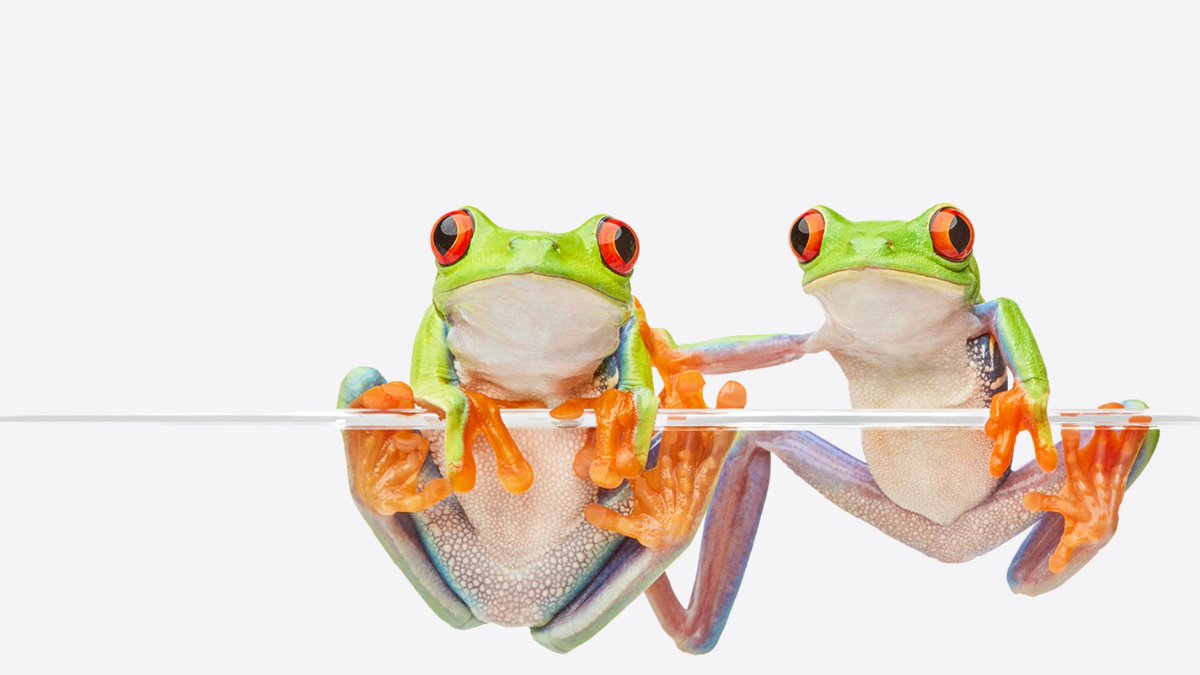 $6.4 million has been given to 333 projects through the <a href="/TELUS/">TELUS</a> Friendly Future Foundation so far this year, supporting charities and communities from coast to coast. Let’s make the future friendly #TELUSDaysOfGood