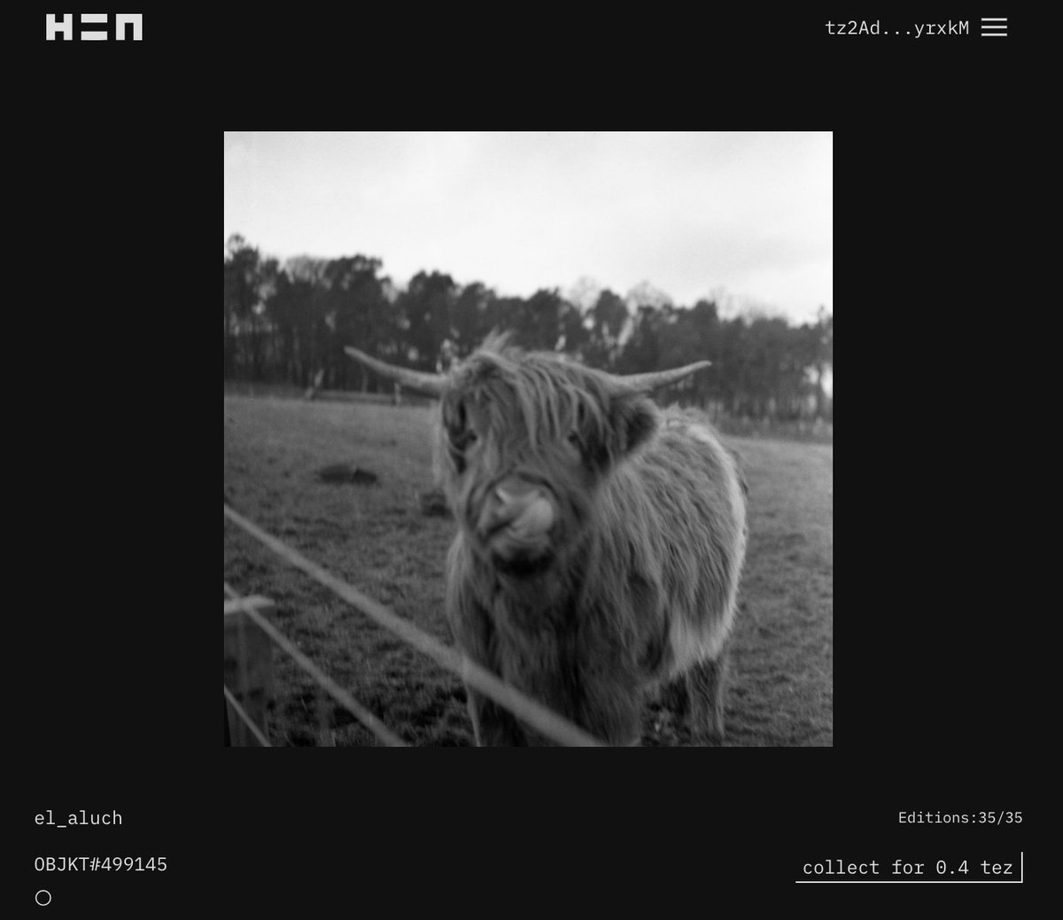rumencocina's tweet photo. New Photo 💚
https://t.co/7Y4FoAT9PU
#nftcollector #NFTCommunity #NFTs #NFTGiveaway #nftart #nftphotography #NFTphotographers #Scotland #cow #highlandcattle #analog #bwfc #rolleiflex #HEN #hicetnunc https://t.co/x54gRaQz7a