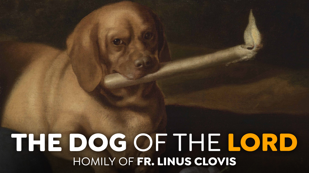 FrLinusClovis's tweet photo. Diversities of gifts, ministries and operations ~ Fr. Linus Clovis https://t.co/YTKVpyrU7k via @YouTube #FrLinusClovis #StDominic #CatholicChurch #CatholicTwitter https://t.co/ITl94qWGSu
