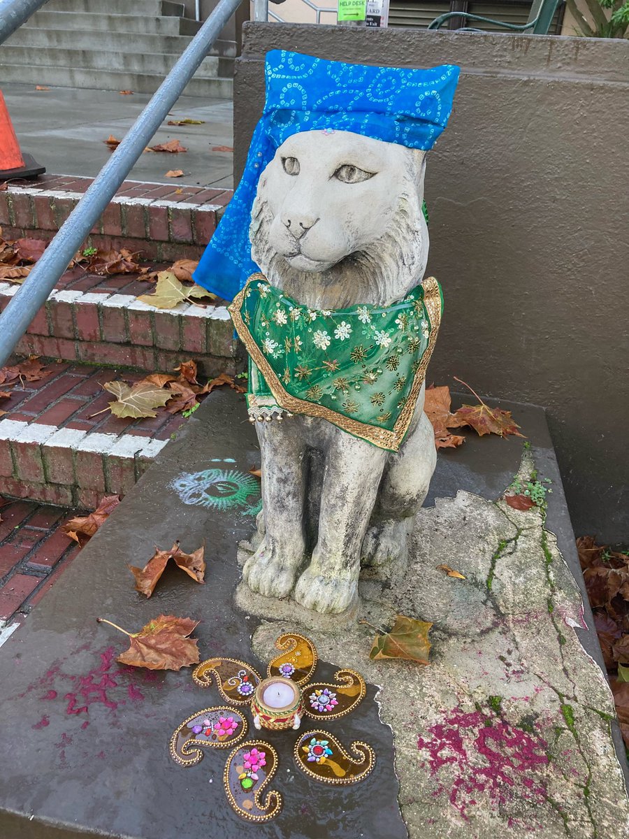 WESWildcatsBSD's tweet photo. Happy Diwali from your Washington Wildcats! https://t.co/G9lmLIoAmi