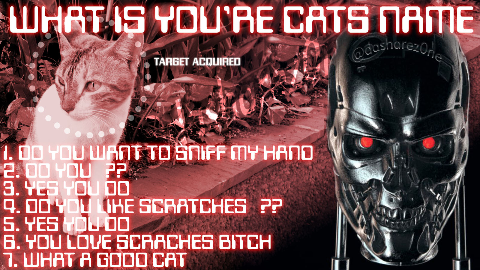 PROCEED - https://t.co/GfqwqHWv7Y ADMIN
