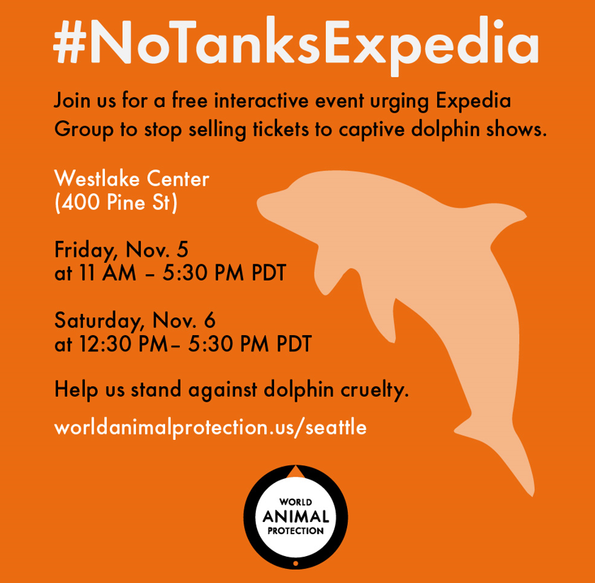 VegWorldMag's tweet photo. Did you know that Expedia Group, the largest travel company in the US, still sells tickets to captive dolphin shows? Join @MoveTheWorld in urging Expedia Group to follow other travel companies that have eliminated the sale of marine life entertainment tickets #NoTanksExpedia https://t.co/imWNOoTC7H