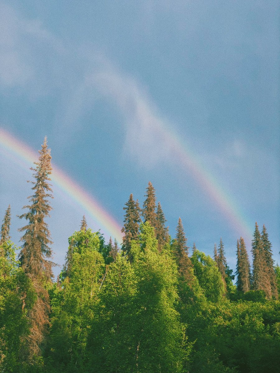 eamonsphotoss's tweet photo. iphone pics from alaska https://t.co/DFvhkPg66x