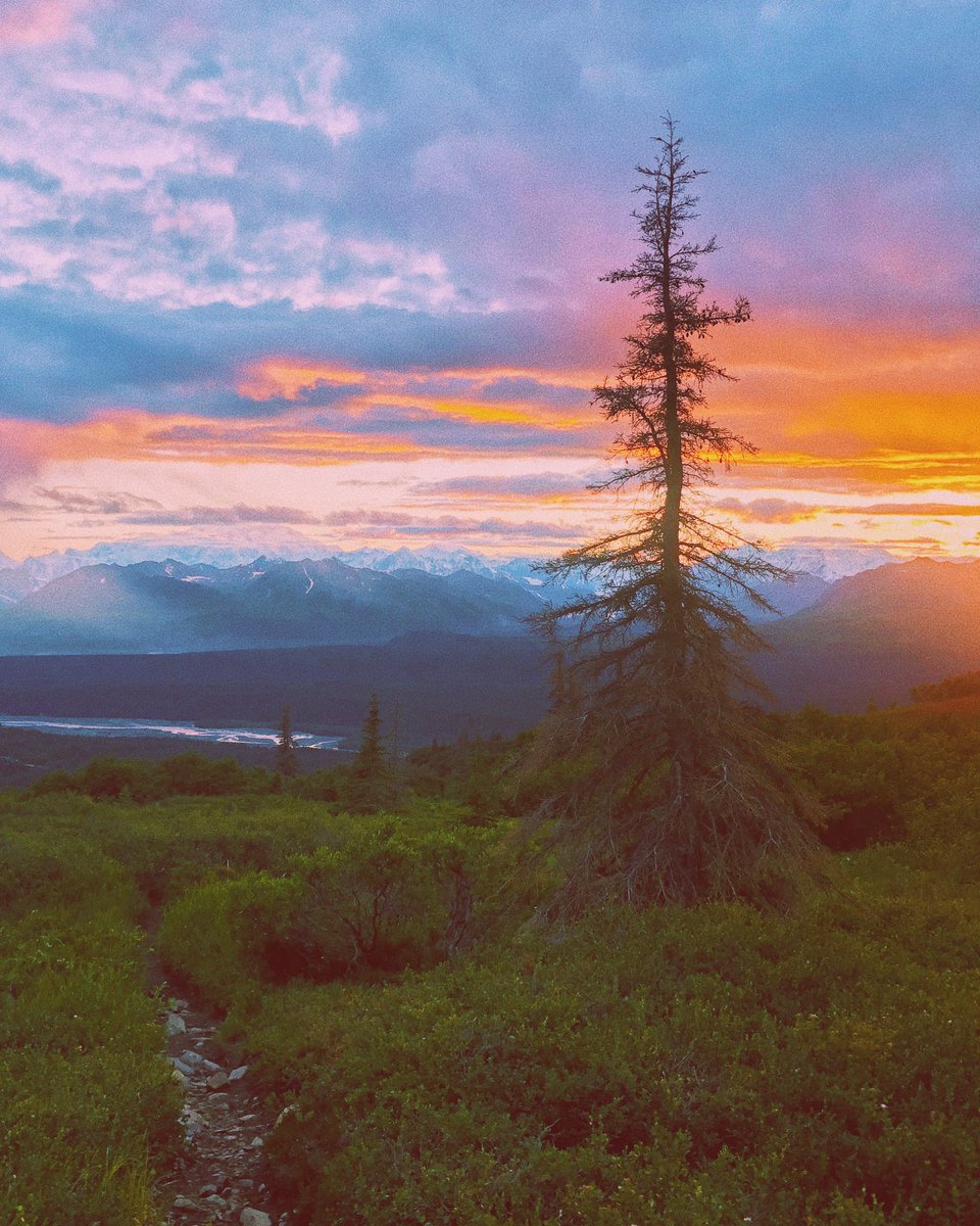 eamonsphotoss's tweet photo. iphone pics from alaska https://t.co/DFvhkPg66x