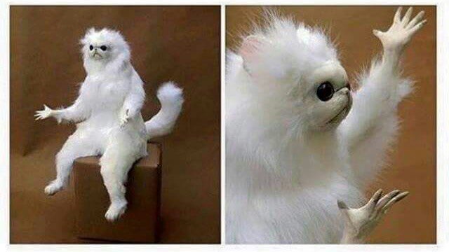 Cynthiaaagghh's tweet image. “I miss the old GMM where you would talk and tell stories!”

GMMore and Ear Biscuits over there like